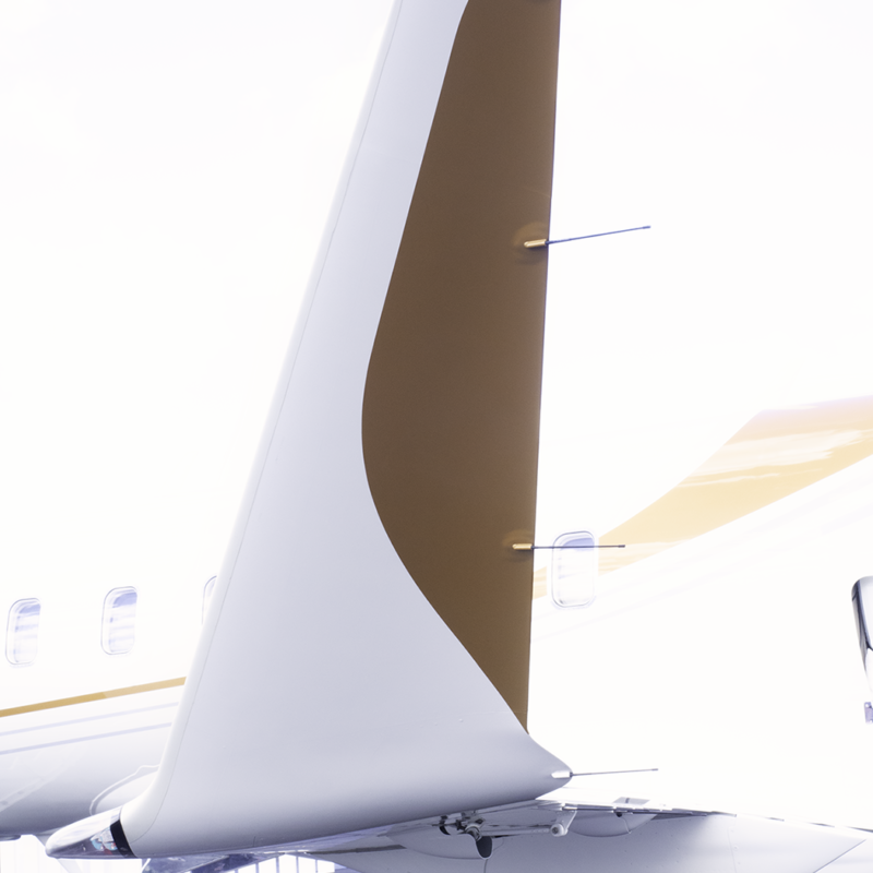 White plane wing with gold area against white background